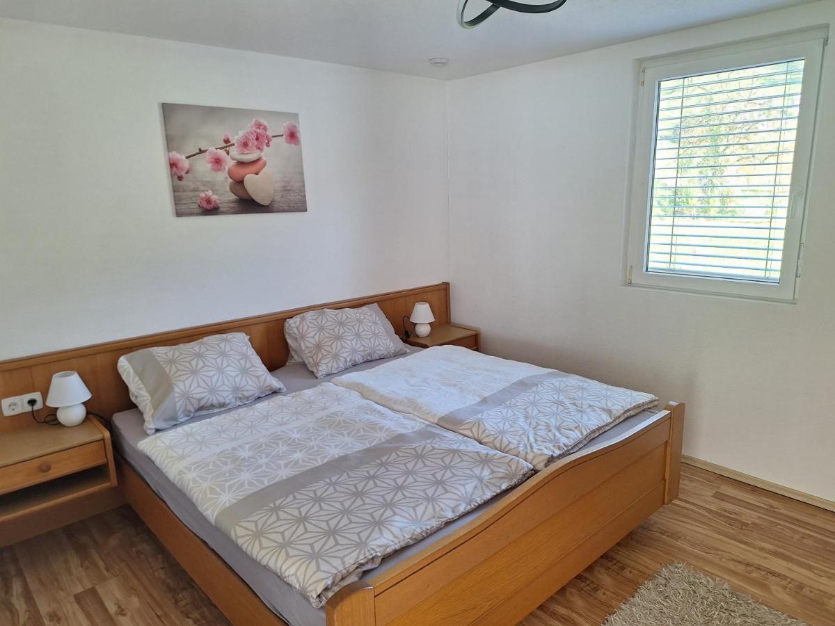 Apartment Rheintal Im Alpenvorland Batschuns Bagian luar foto
