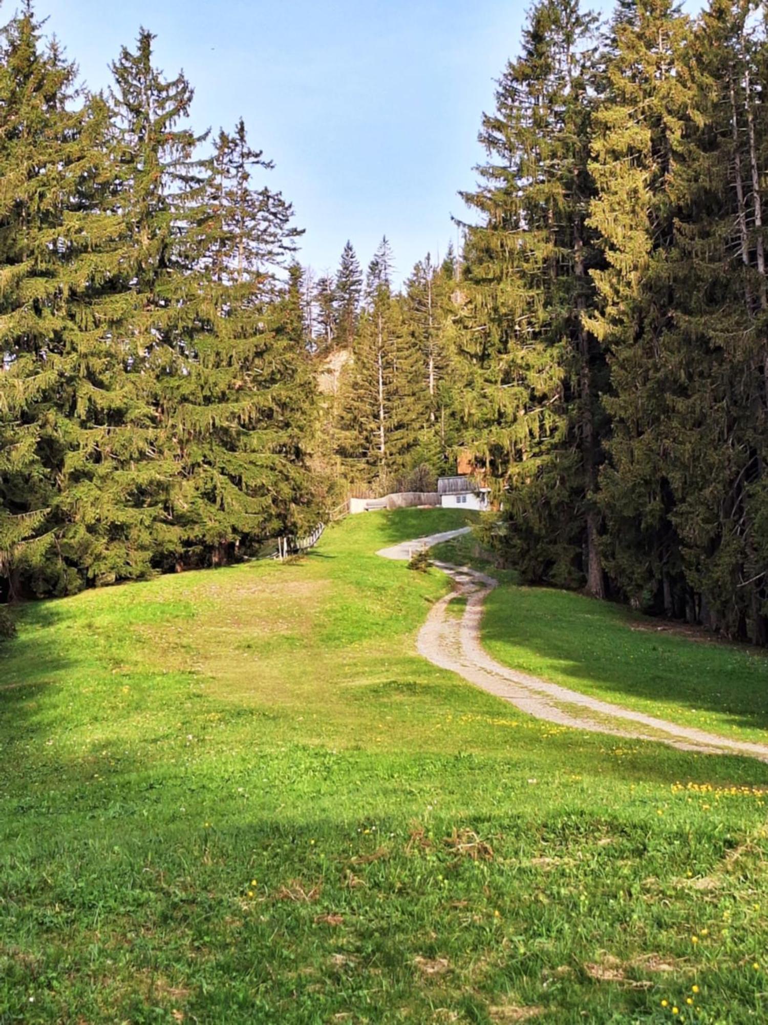 Apartment Rheintal Im Alpenvorland Batschuns Bagian luar foto