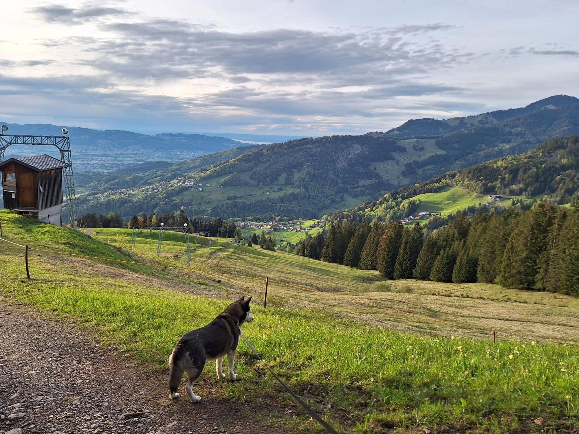 Apartment Rheintal Im Alpenvorland Batschuns Bagian luar foto