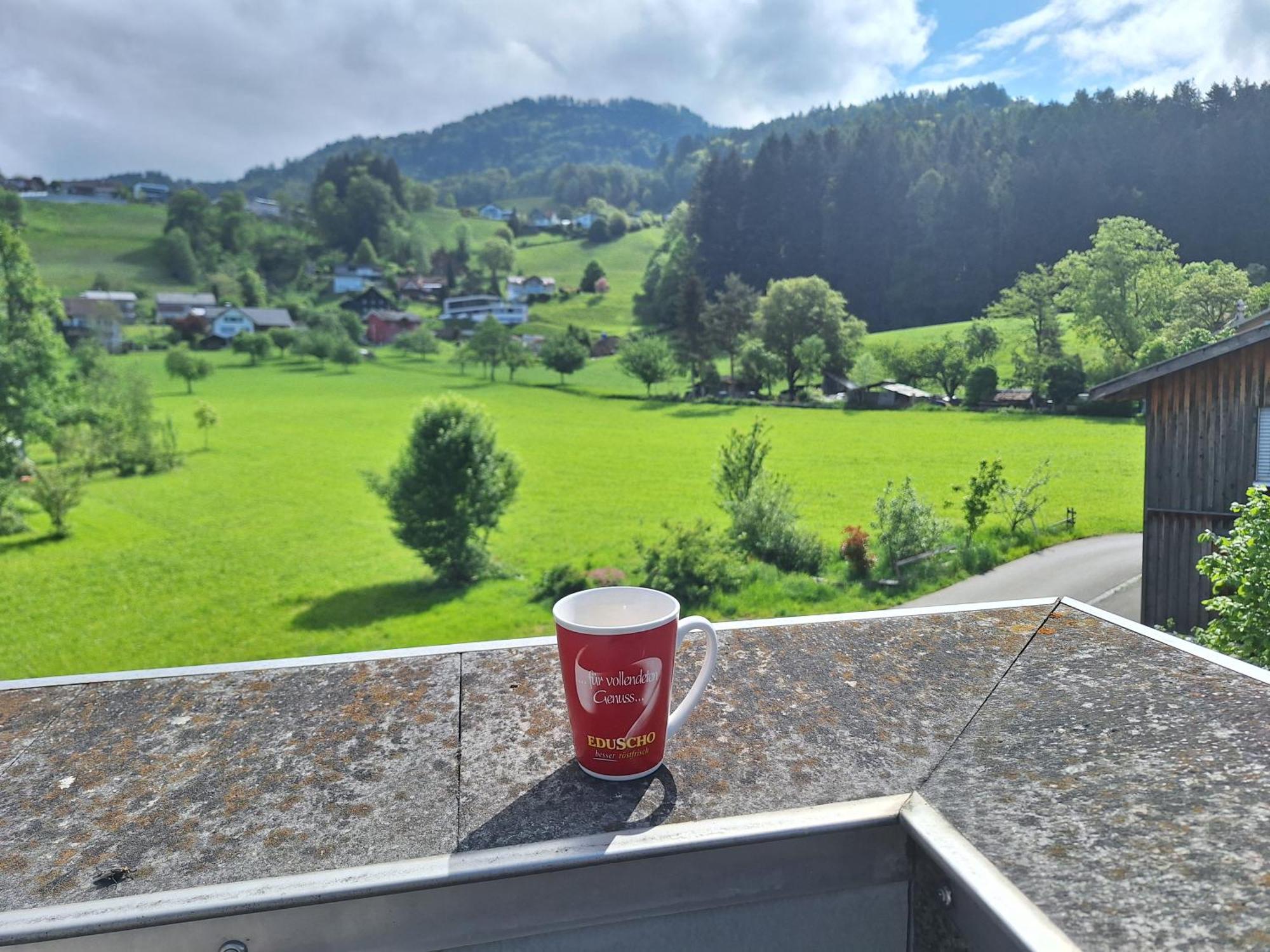 Apartment Rheintal Im Alpenvorland Batschuns Bagian luar foto